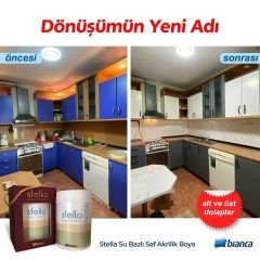 Bianca Stella Su Bazlı Saf Akrilik Boya 0,50 Lt